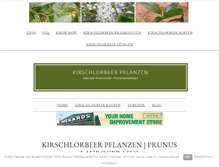 Tablet Screenshot of kirschlorbeer-pflanzen.de
